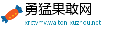 勇猛果敢网